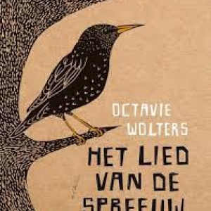 Hoe mooi alles is